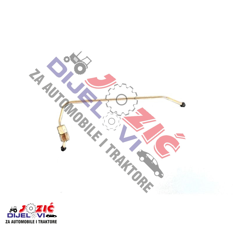 Daisy on the Ohoopee